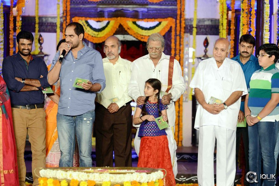 Dagudumutha-Dandakor-Movie-Audio-Launch